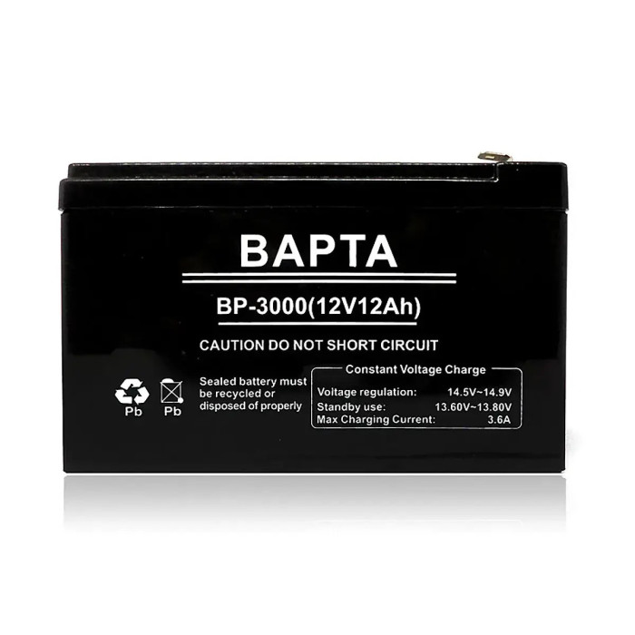 Акумуляторна батарея BAPTA 12В 12,0Ач 155х98х99 BP-3000/ 7924 (4)