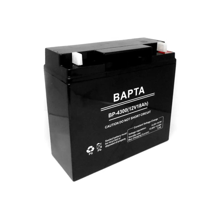 Акумуляторна батарея BAPTA 12В 18,0Ач 181х77х167 BP-4300/ 7834 (4)