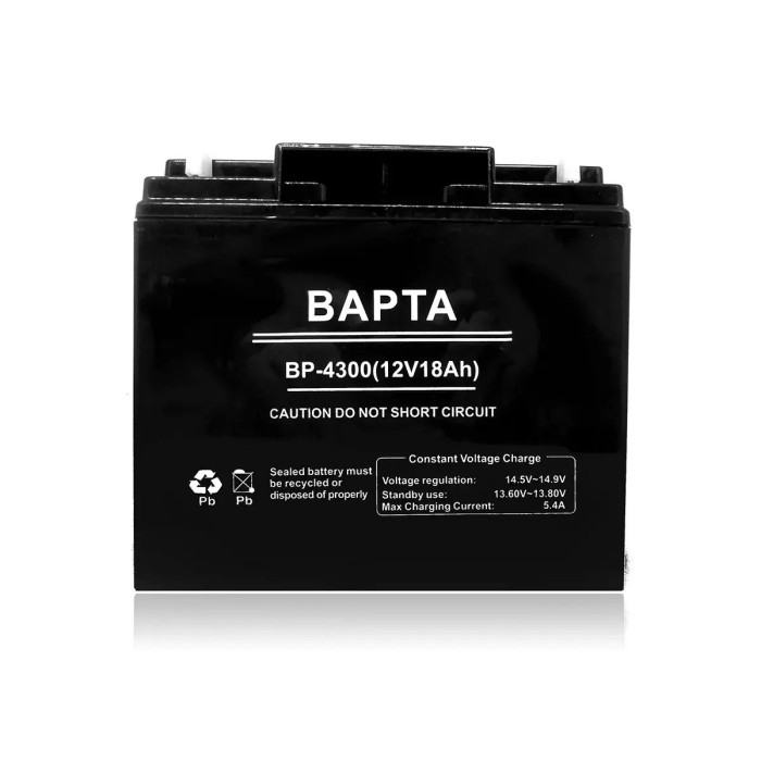 Акумуляторна батарея BAPTA 12В 18,0Ач 181х77х167 BP-4300/ 7834 (4)