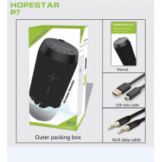 Портативна колонка Hopestar P-7 (30 шт./ясть)