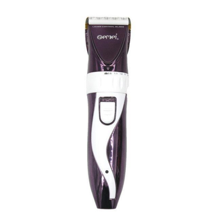 Професійна акумуляторна машинка для стриження Gemei GEMEI GM 6062 (40 шт)