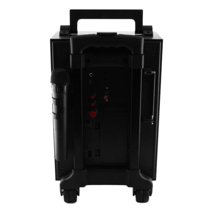 Колонка GOLON RX-2900 USB+SD+BT (4 шт./ясть)