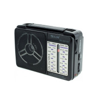 Радіоприймачі-GOLON RX-607 (40 шт./яскравий)