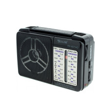 Радіоприймачі-GOLON RX-607 (40 шт./яскравий)