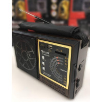Радіоприймач GOLON RX-98 (USB+SD) (24 шт)