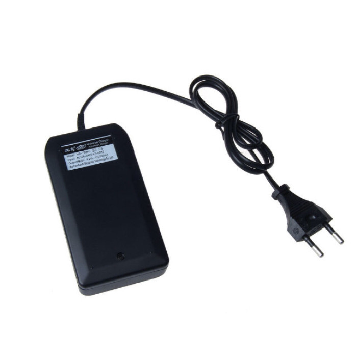 Мережеві зарядні пристрої для двох акумуляторів 18650-2/ZJ 3009 зі шнуром (200 шт./шум)